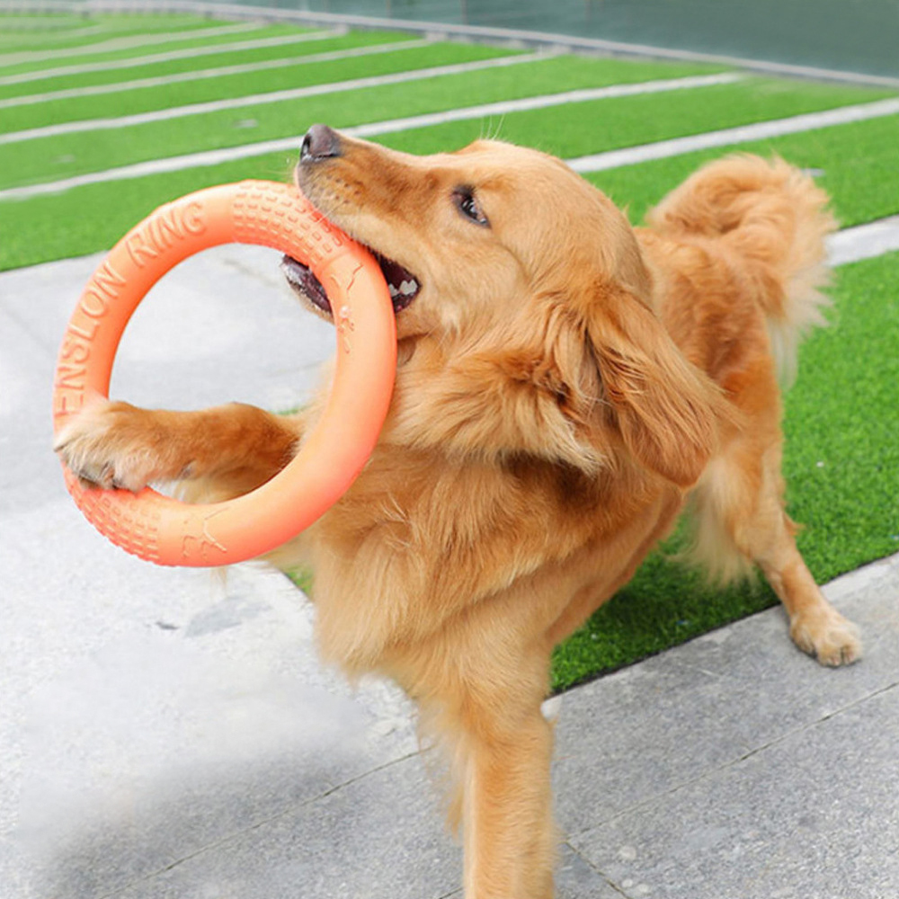 Flying Disc Dog Training Toy - 1 adet turuncu köpek oyuncaklar Pet