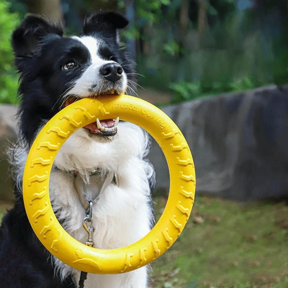 Indestructible Dog Chew Toy - Küçük, Orta ve Büyük Köpekler İçin
