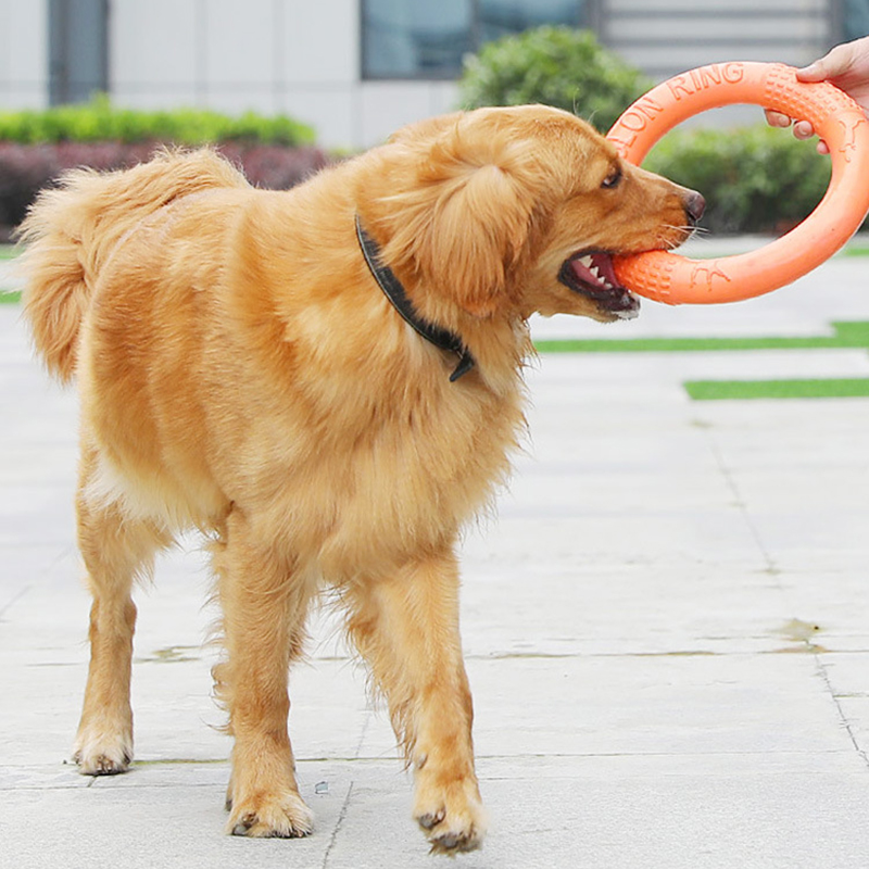 1 adet turuncu köpek oyuncakla - Flying Disc Dog Training Toy incelemesi ve fiyatı