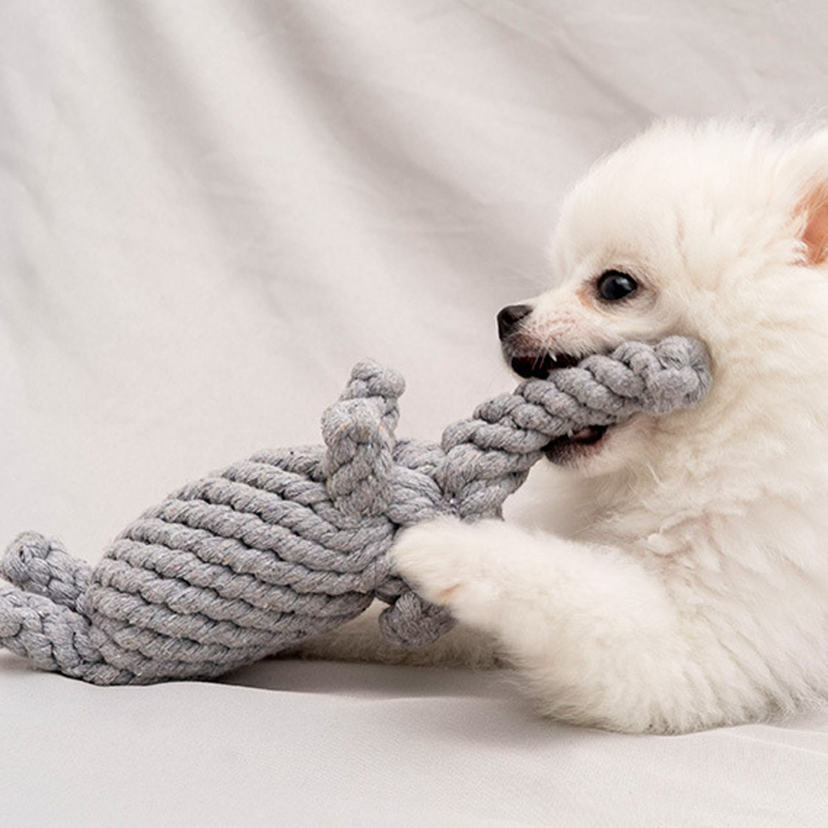Sıcak halat düğümü dişleri ezm - Indestructible Dog Chew Toy incelemesi ve fiyatı