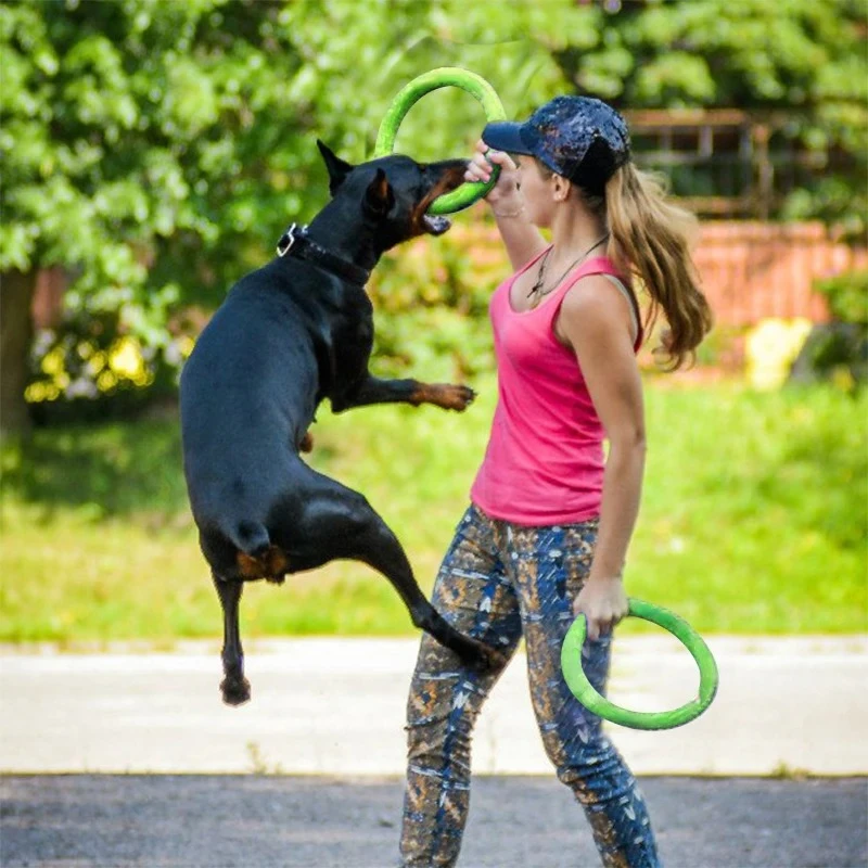 Köpek oyuncaklar Pet uçan disk - Flying Disc Dog Training Toy incelemesi ve fiyatı