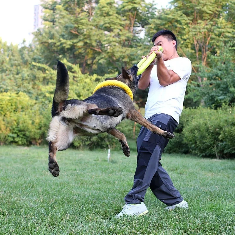 Köpek oyuncaklar Pet uçan disk - Flying Disc Dog Training Toy incelemesi ve fiyatı