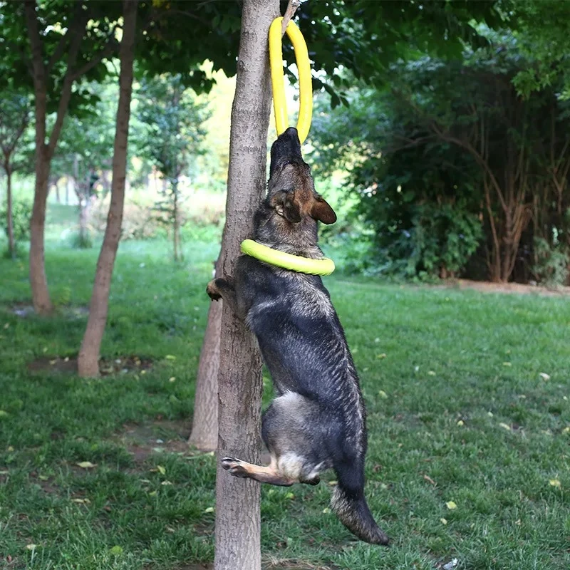 Köpek oyuncaklar Pet uçan disk - Flying Disc Dog Training Toy incelemesi ve fiyatı