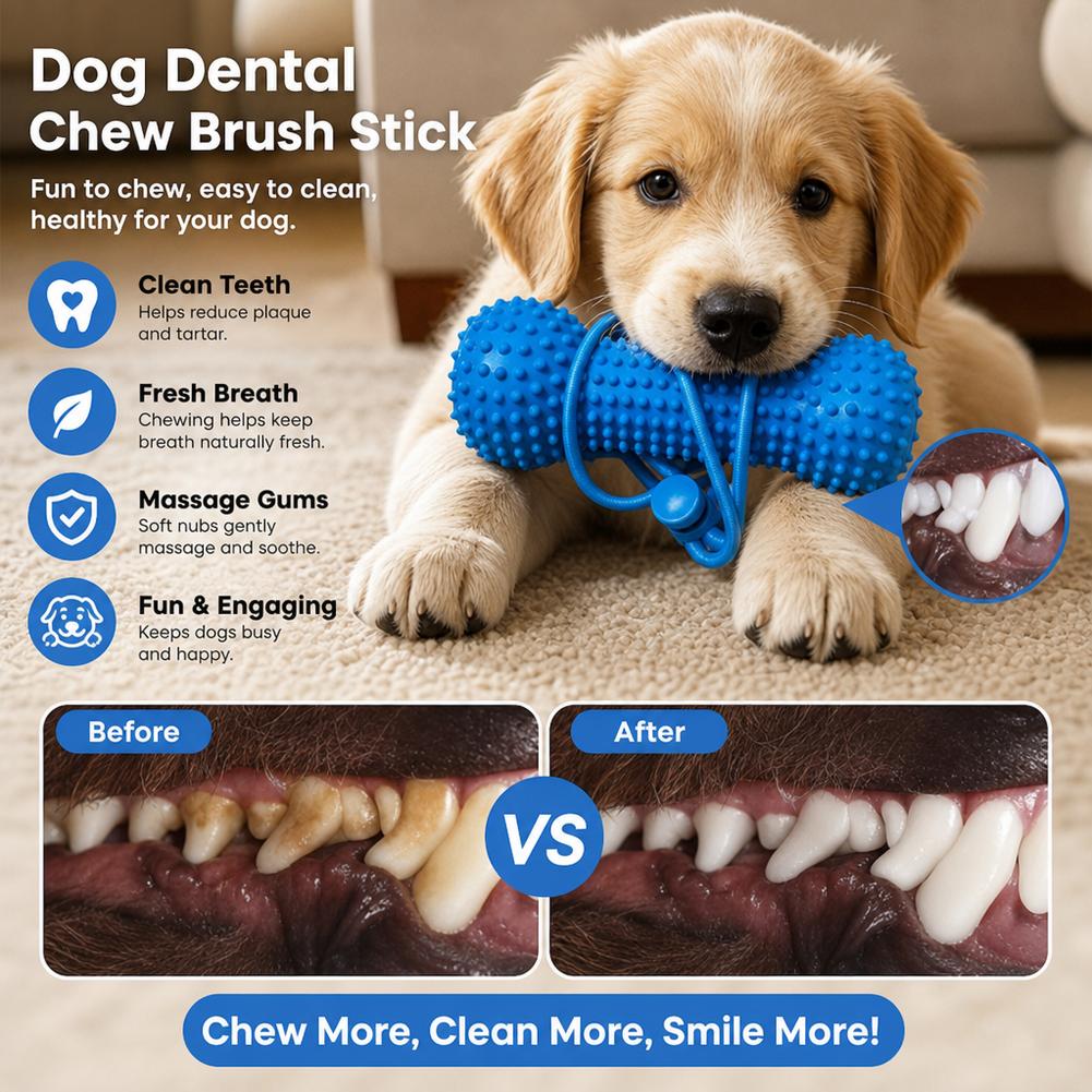 Küçük Evcil Hayvanlar İçin Pla - Teeth Cleaning Dog Chew Bone incelemesi ve fiyatı